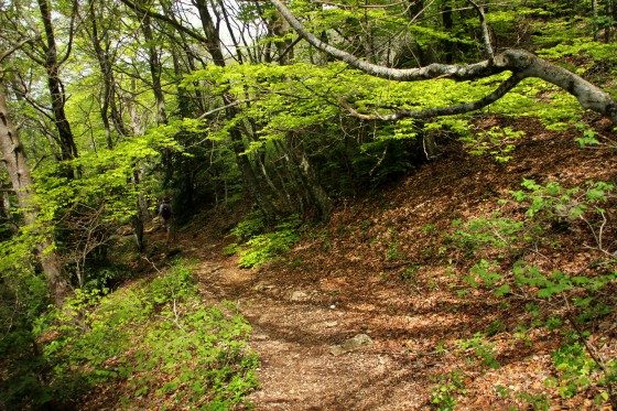 Sentier du retour