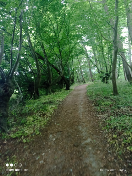 sentier du retour
