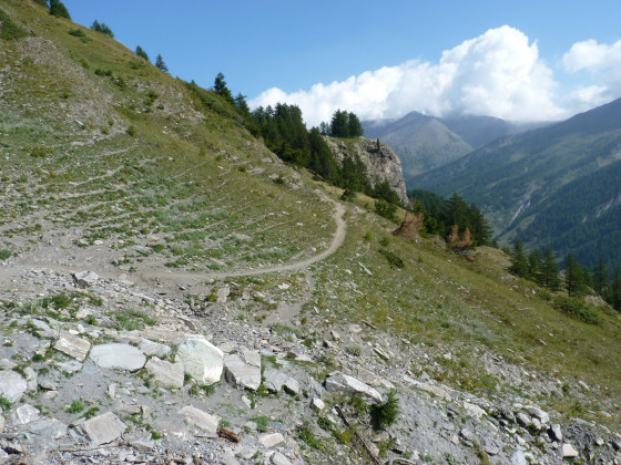 Sentier en balcon et pistes d\'animaux