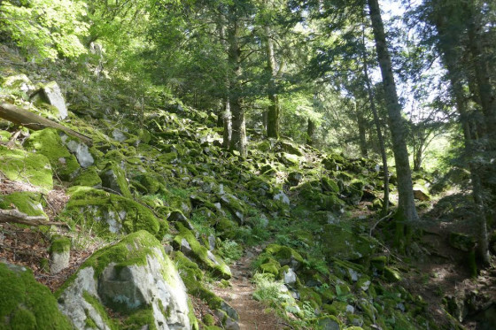 Sentier en balcon
