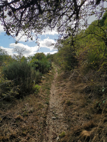 Sentier en bordure de cl&ocirc;ture