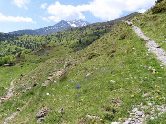 Sentier en corniche
