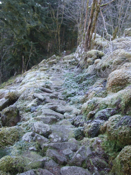Sentier en dalles