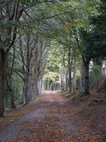 Sentier en haut du Frugy