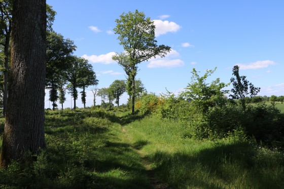 Sentier