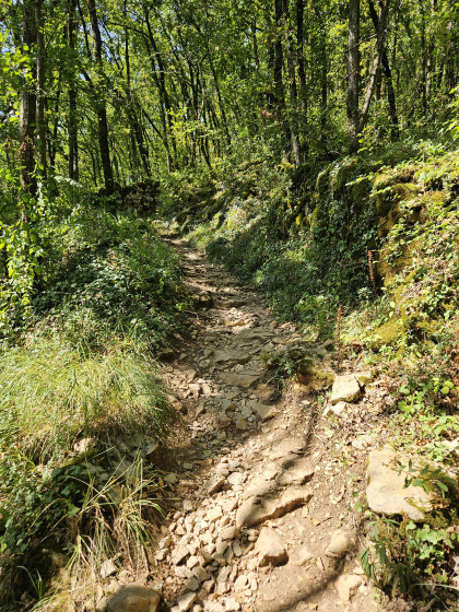 sentier en mont&eacute;e vers loubressac