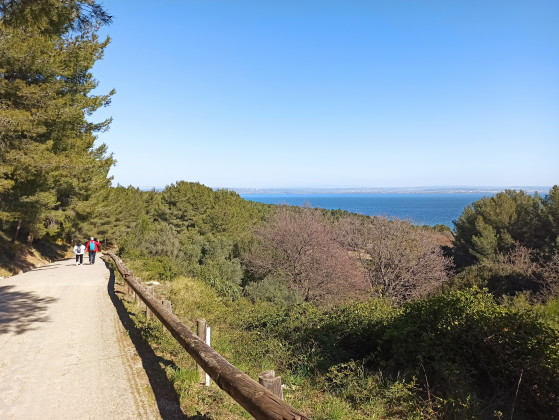 Sentier entre mer et étangs, boucle de Figuerolles