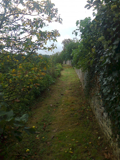 sentier entre murs de pierres s&egrave;ches et hauteur sur la vall&eacute;e arbor&eacute;e de "La Belle".