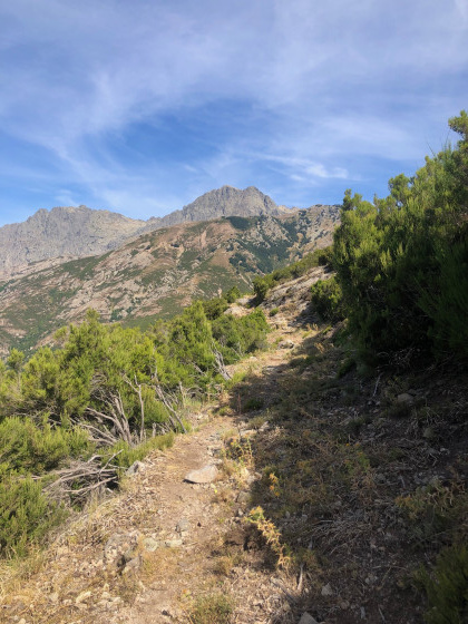 Sentier entre u Castagnu et Vizzavona