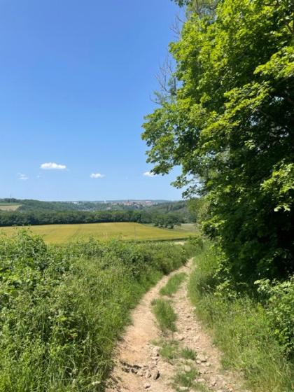 Chemin et champs
