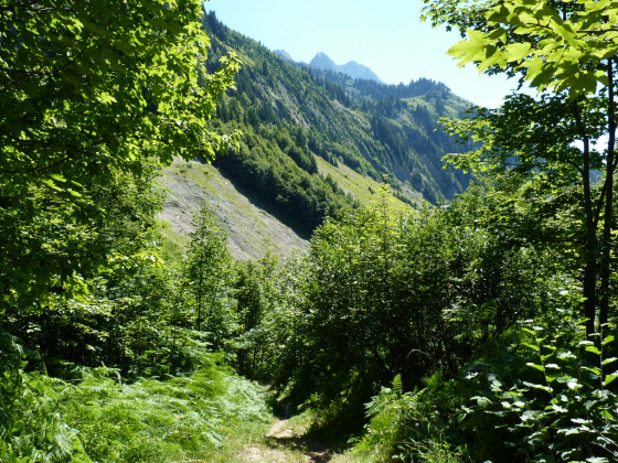Sentier et pierrier du côté de Plattuy
