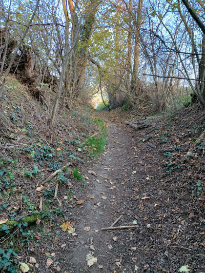 Sentier forestier étroit et escarpé dans certains passages en forêt