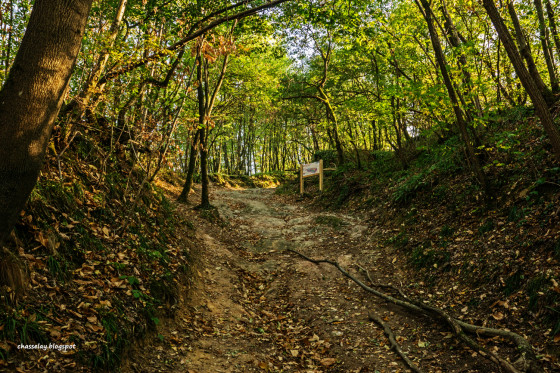 Sentier g&eacute;ologique