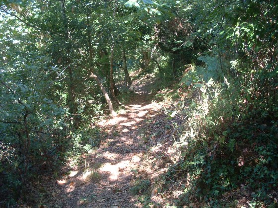 Sentier le chemin du Moulin.