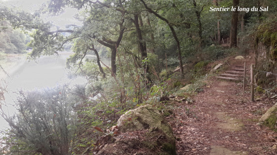 Sentier le long du Sal