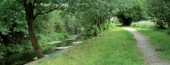 Sentier longeant le Dollerbaechlein