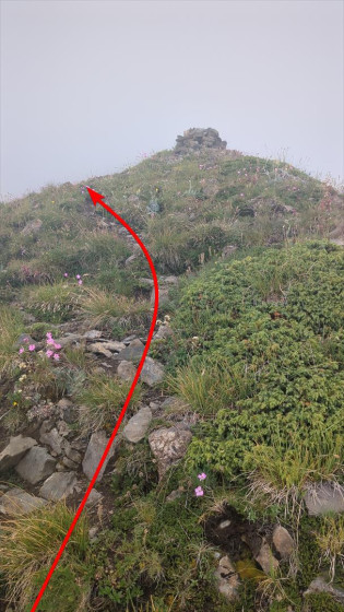 Sentier menant au Creux des Chardons