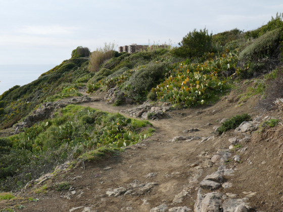 Sentier menant au fort