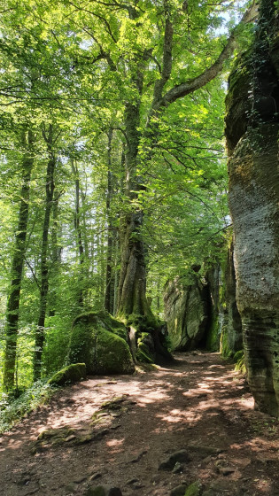 Sentier mur païen  sud