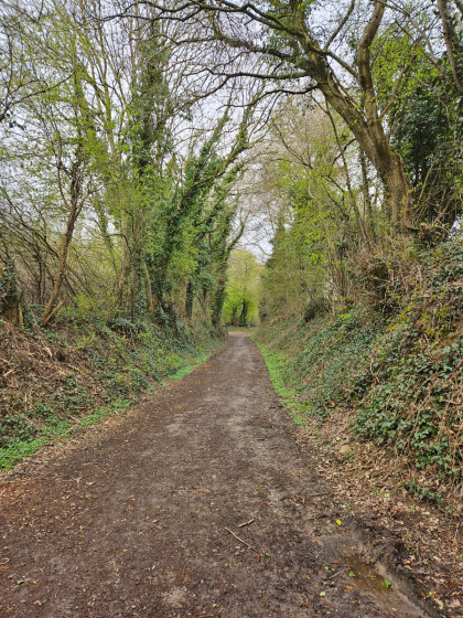 Sentier n&deg;50