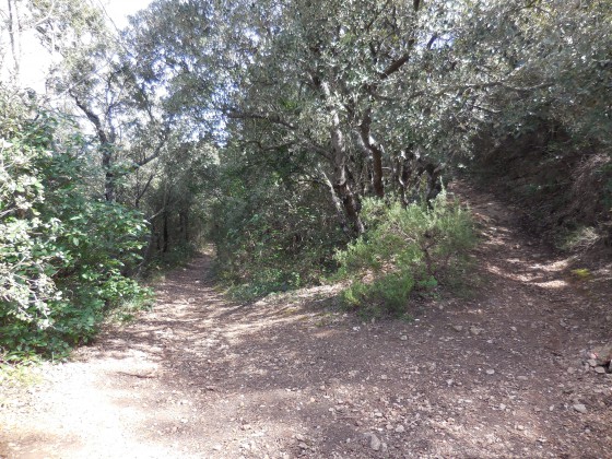 Sentier Nord du Coudon