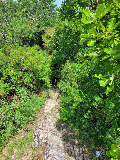 Sentier parfois &eacute;troit