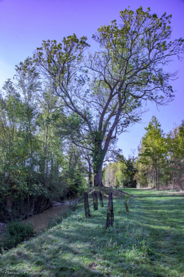 Sentier p&eacute;dagogique