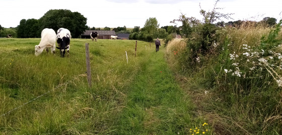 Sentier persqu'oubli&eacute; !