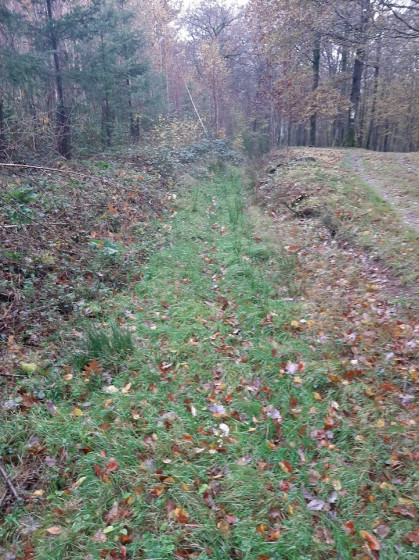 Sentier peu marqu&eacute; &agrave; suivre vers la gauche