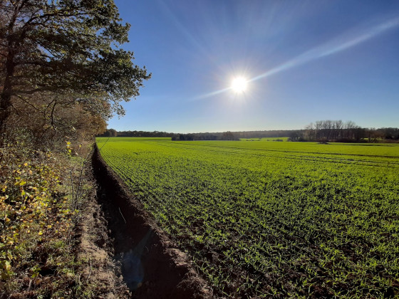 Sentier peu marqué