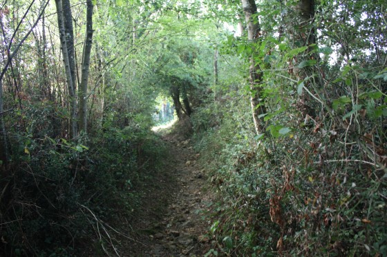 Sentier pr&egrave;s de la rue des Rainettes (Bas Parchimbault)