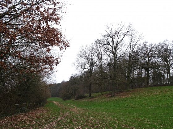 Sentier près la Maison Blocry (n° 36)