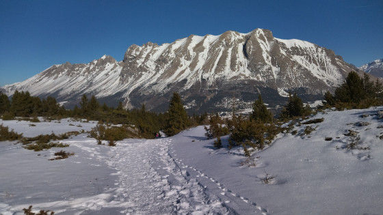 Sentier qui monte sur le plateau des Crêtes des Baumes