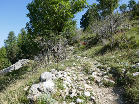 Sentier quittant Truziaud