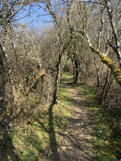 Sentier réhabilité par le club de Pavie, bravo !
