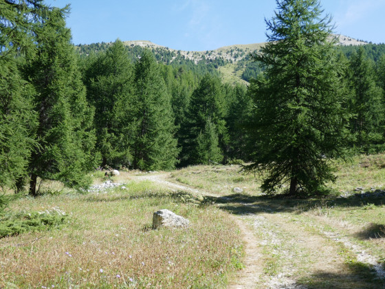 Sentier reliant la Cime du Mélezet à la piste du Jalavez
