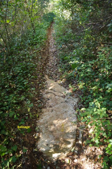 Sentier remontant la Valmasque rive gauche