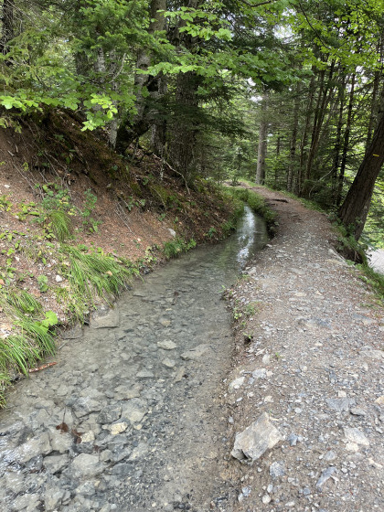 Sentier retour entre 5 et 6