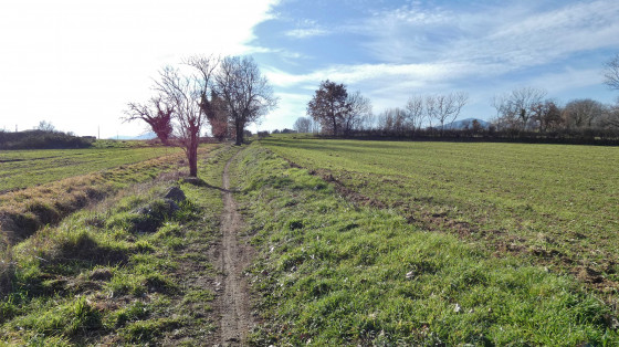 Sentier retour