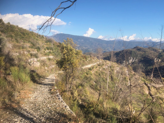 Sentier retour