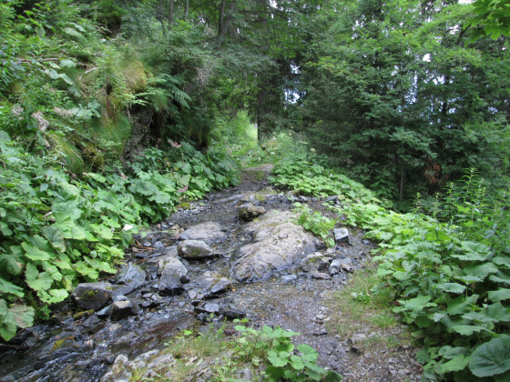 Sentier rocailleux