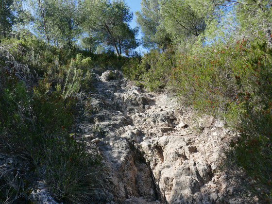 Sentier rocheux