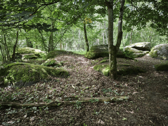 Sentier rocheux