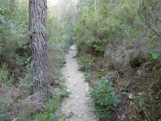 Sentier sableux
