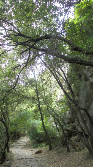 Sentier séculaire caladé