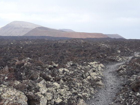 Sentier serpentant dans la mer de laves,