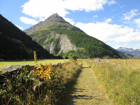 Sentier sortie de Bessans Sentier sortie de Bessans