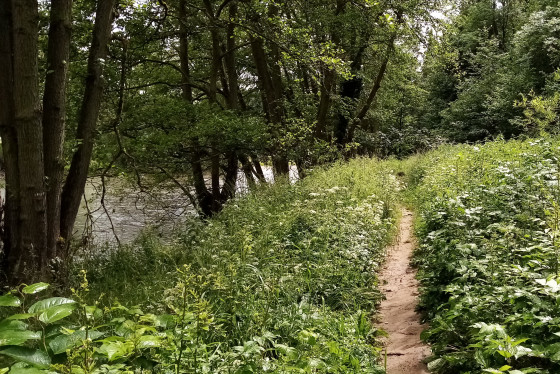 Sentier sur berge