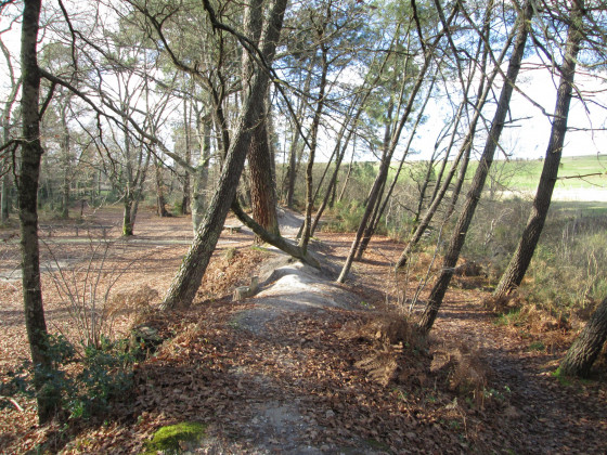 Sentier sur butte