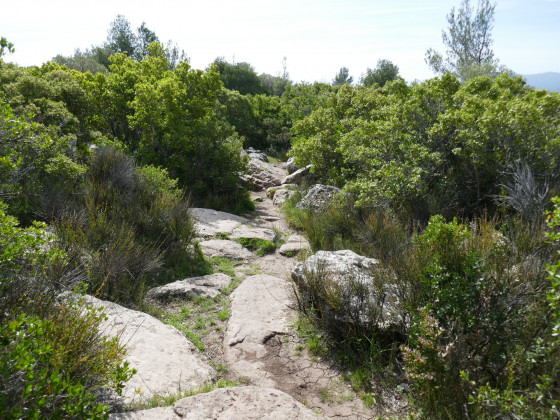 Sentier sur l\'oppidum Sentier sur l\'oppidum